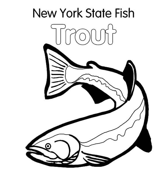 new york state seal picture. New York State Fish: Brook