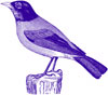 State Bird: Blue Bird
