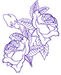 State Flower: Rose