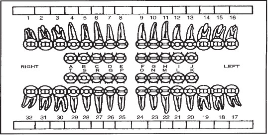 Dental Records