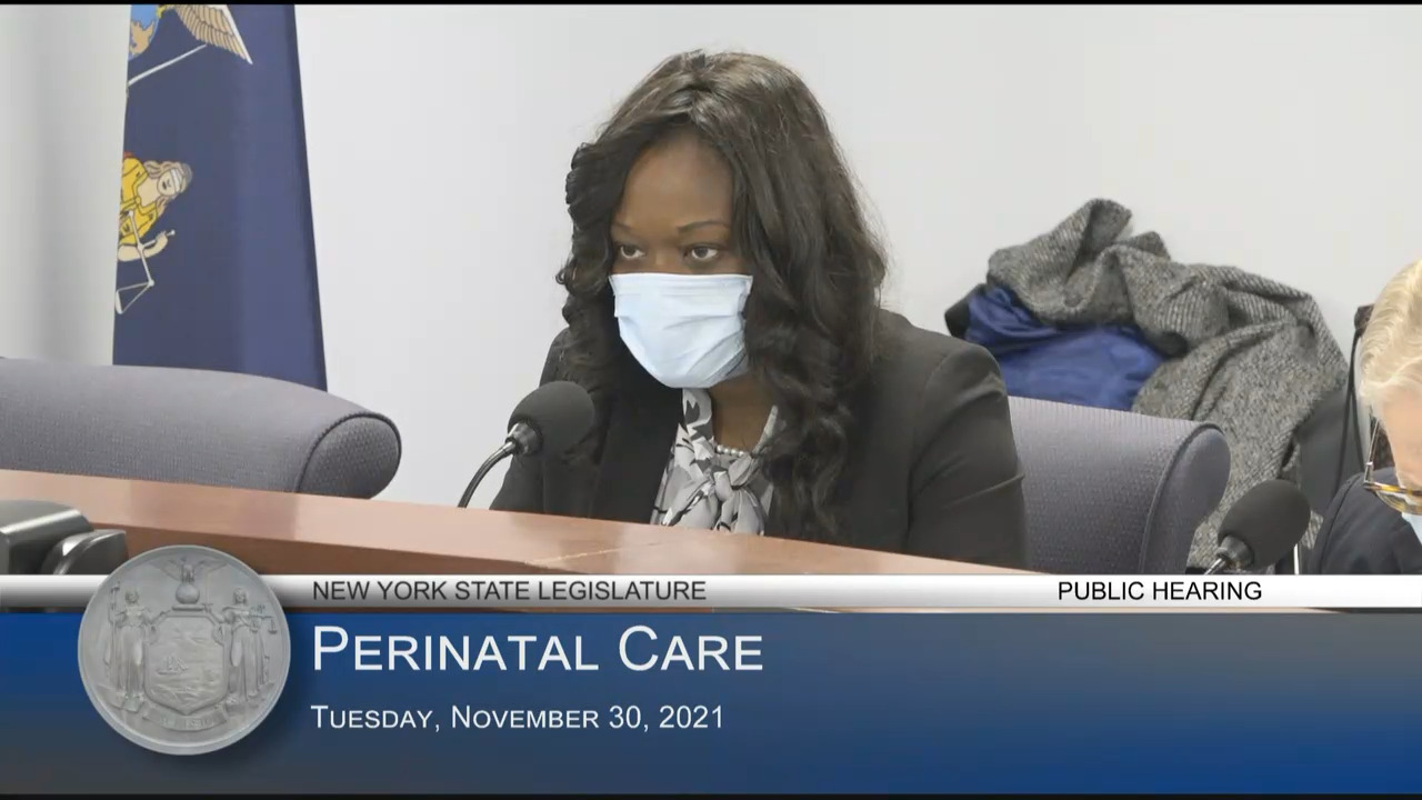 Public Hearing on Perinatal Care