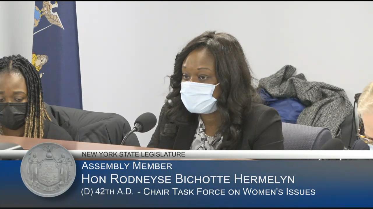 Midwives Testify During a Public Hearing on Perinatal Care