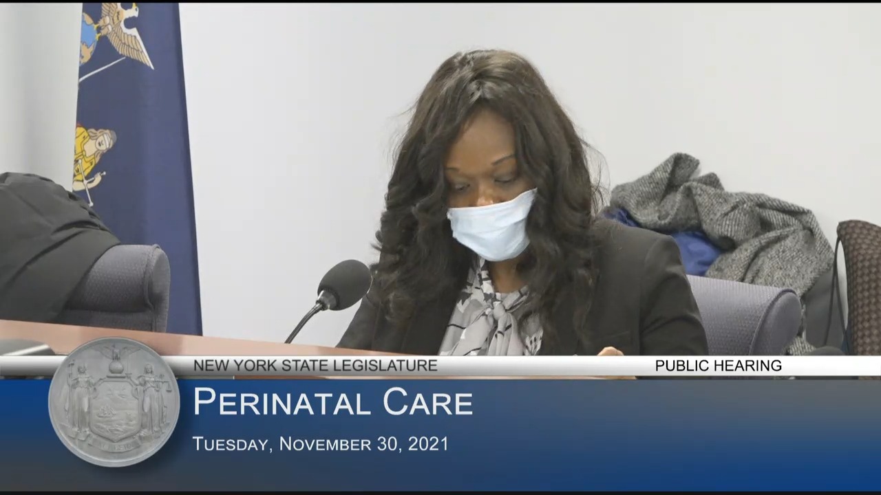 Co-Chairs, NYC Midwives Testify During a Public Hearing on Perinatal Care