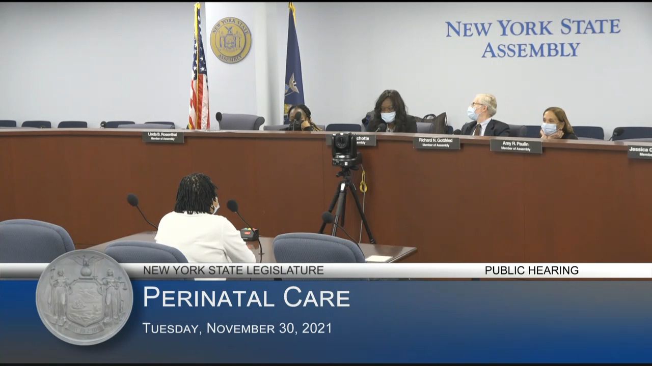 DONA International President Testifies at Public Hearing on Perinatal Care