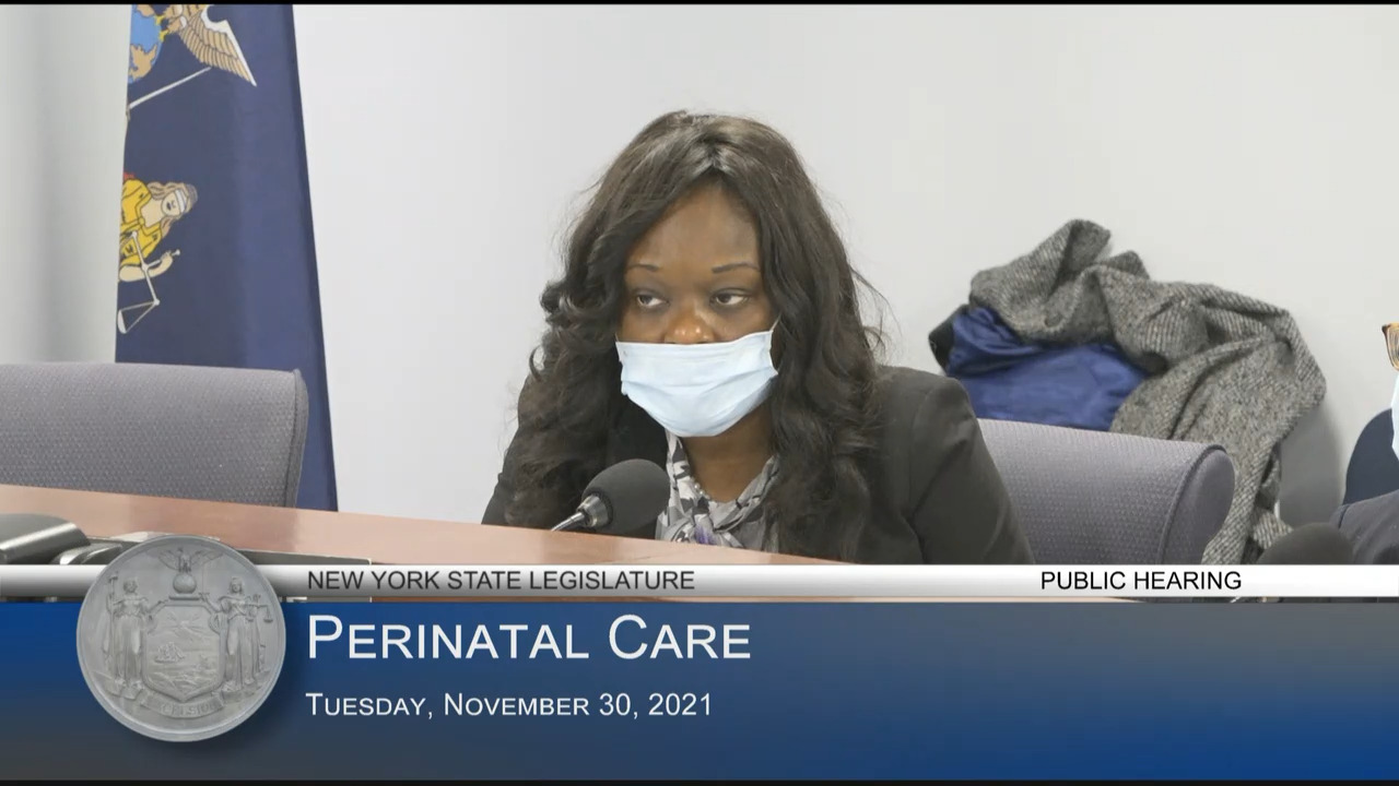 Student Midwife Testifies During a Public Hearing on Perinatal Care