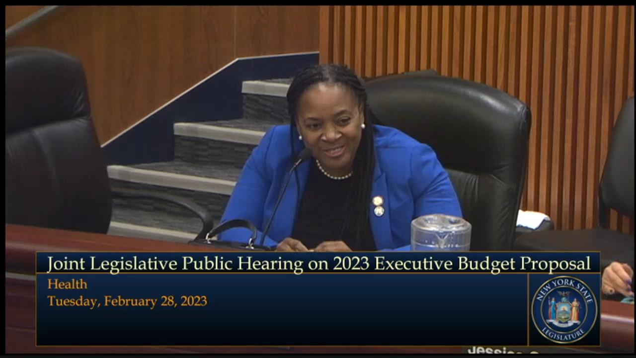 CIDNY Director Testifies During Budget Hearing on Health