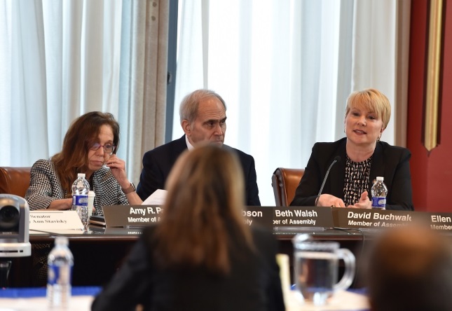 Assemblywoman Mary Beth Walsh (R,C,I-Ballston) pictured at the Board of Regents interviews on February 5, 2020.