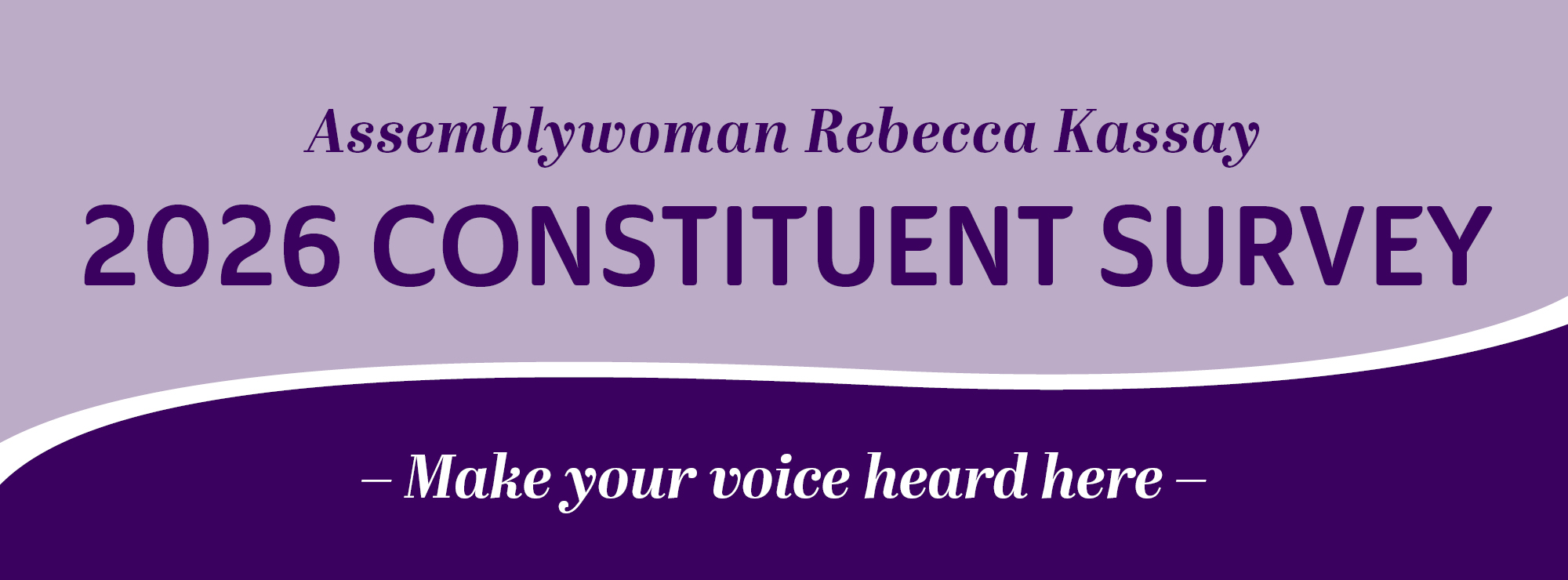 2026 Constituent Survey