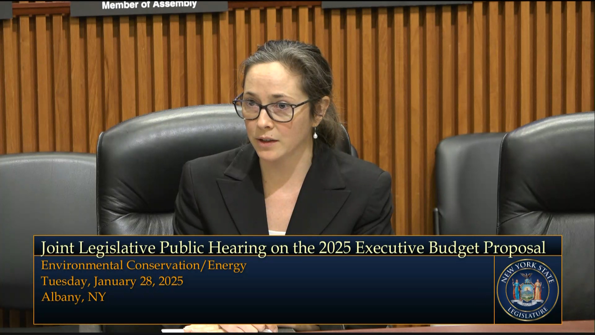 NYSERDA President Testifies During Budget Hearing on Environmental Conservation and Energy