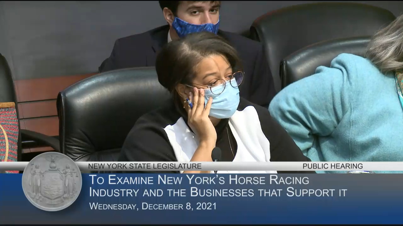 Blue Chip Farms Owner Testifies at Hearing on the Efficiency and Effectiveness of New York’s Horse Racing Industry