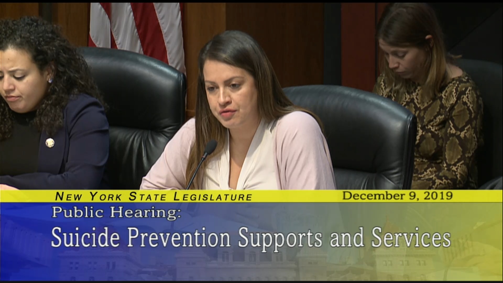 Public Hearing On Suicide Prevention Support and Services (1)