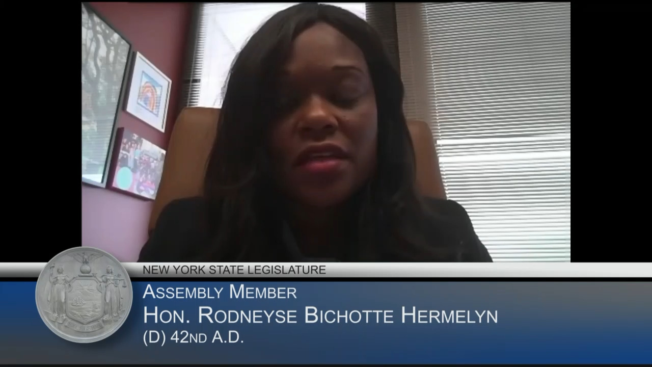 Bichotte Hermelyn Questions Interim SUNY Chancellor During Budget Hearing on Higher Education
