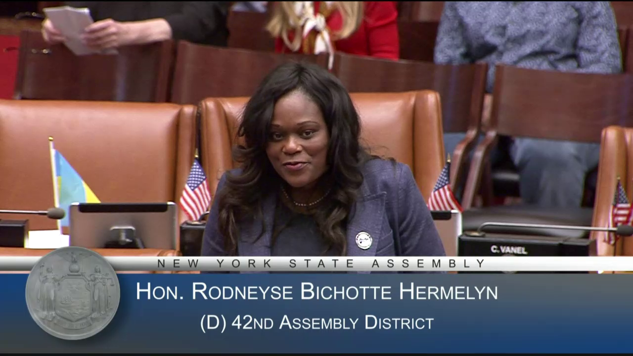 Deputy Mayor of NYC Sheena Wright Welcomed to the Assembly Chamber