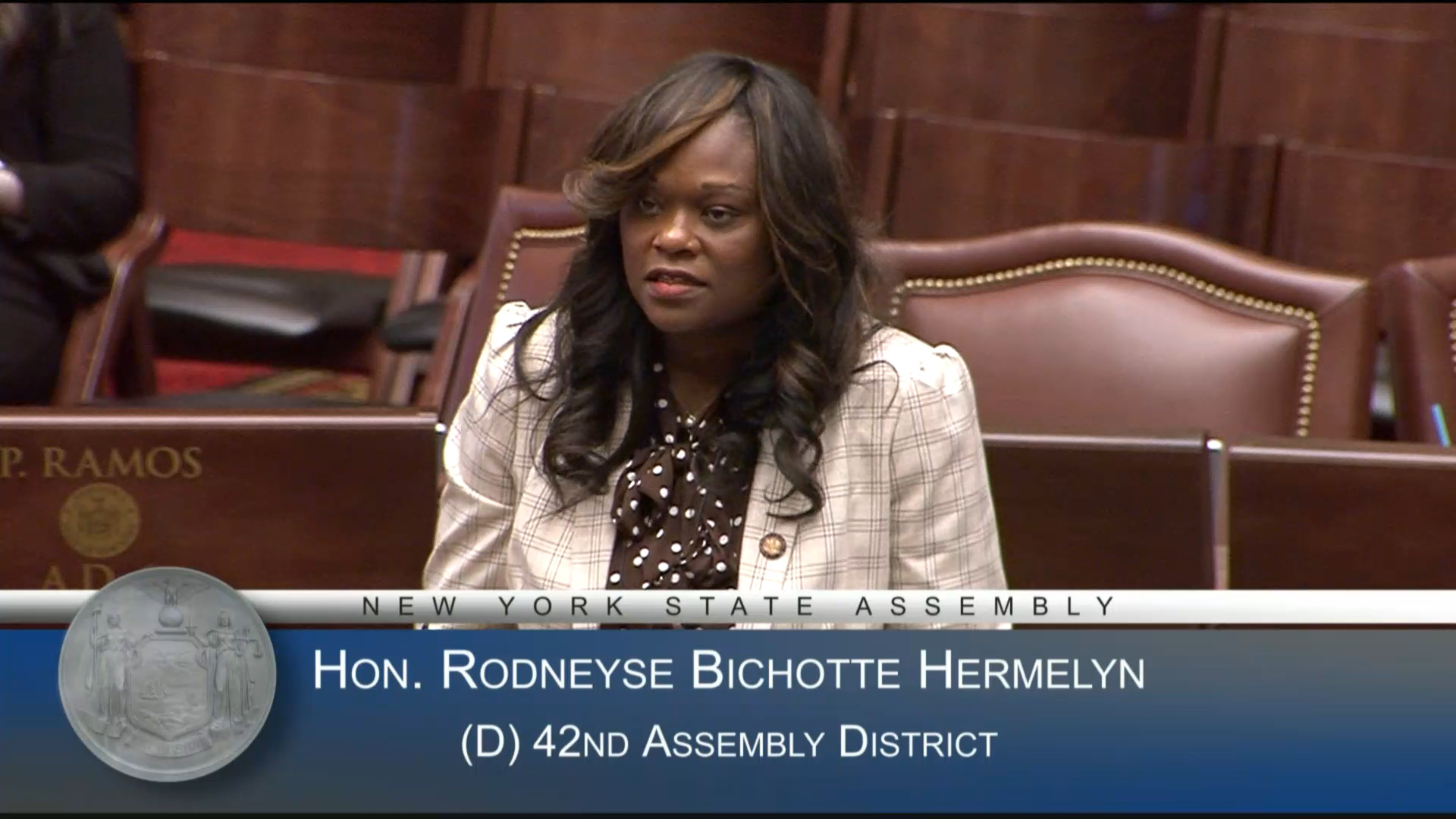 41st Annual Martin Luther King, Jr. Day in NY