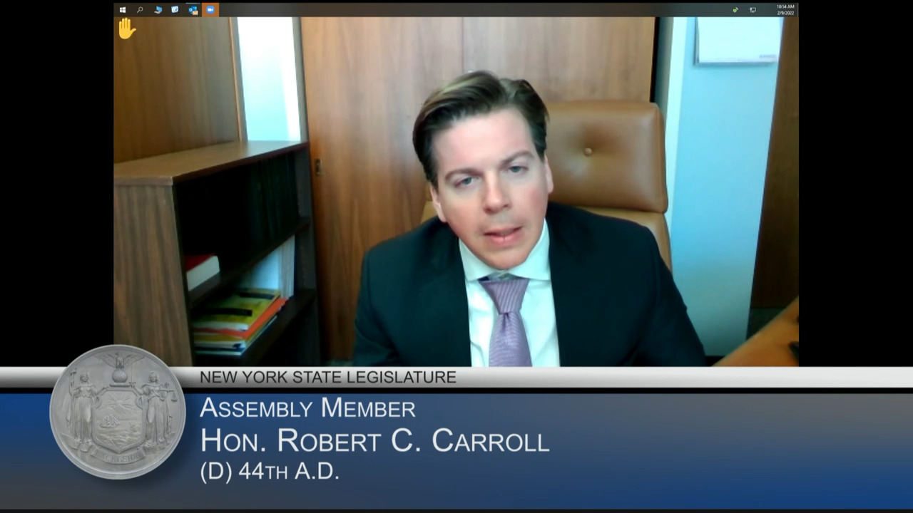 Carroll Questions NYC Mayor During Budget Hearing on Local /General Government