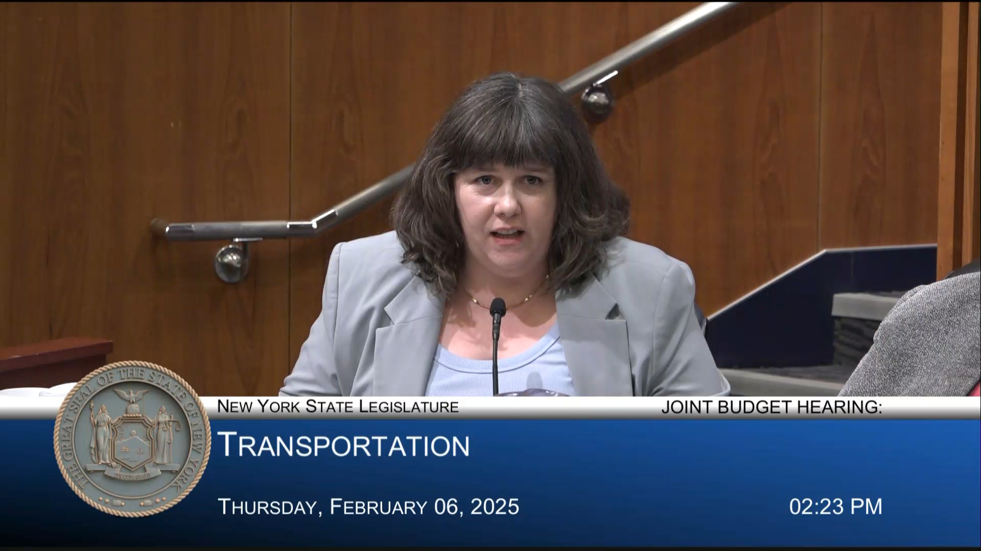 MTA Chairman Testifies During Joint Budget Hearing on Transportation