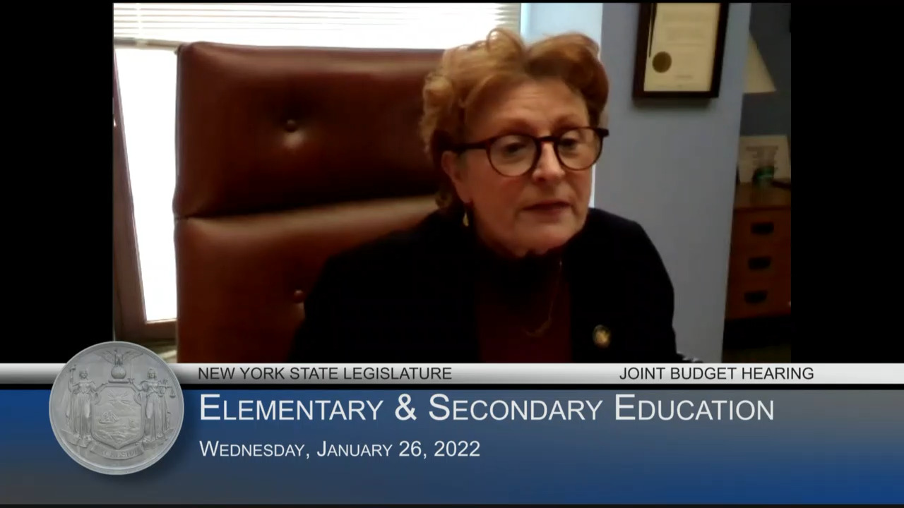NYC Schools Chancellor Testifies During Budget Hearing on Elementary & Secondary Education