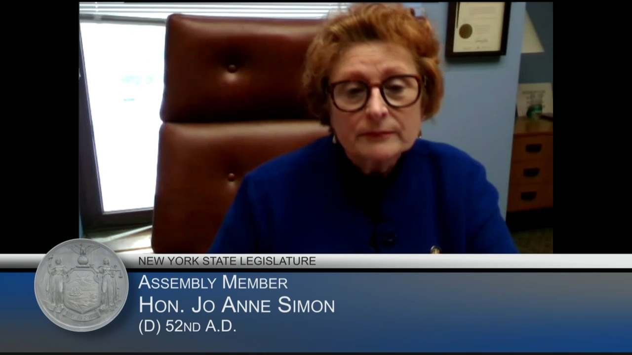 Simon Questions Interim SUNY Chancellor During Budget Hearing on Higher Education