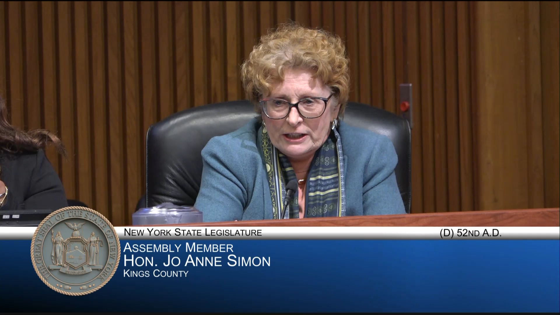 Mayor of NY Testifies During a Joint Budget Hearing on Local/General Government