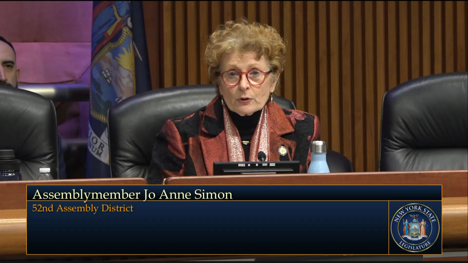 Simon Questions Mental Health Commissioner During Joint Budget Hearing on Mental Hygiene