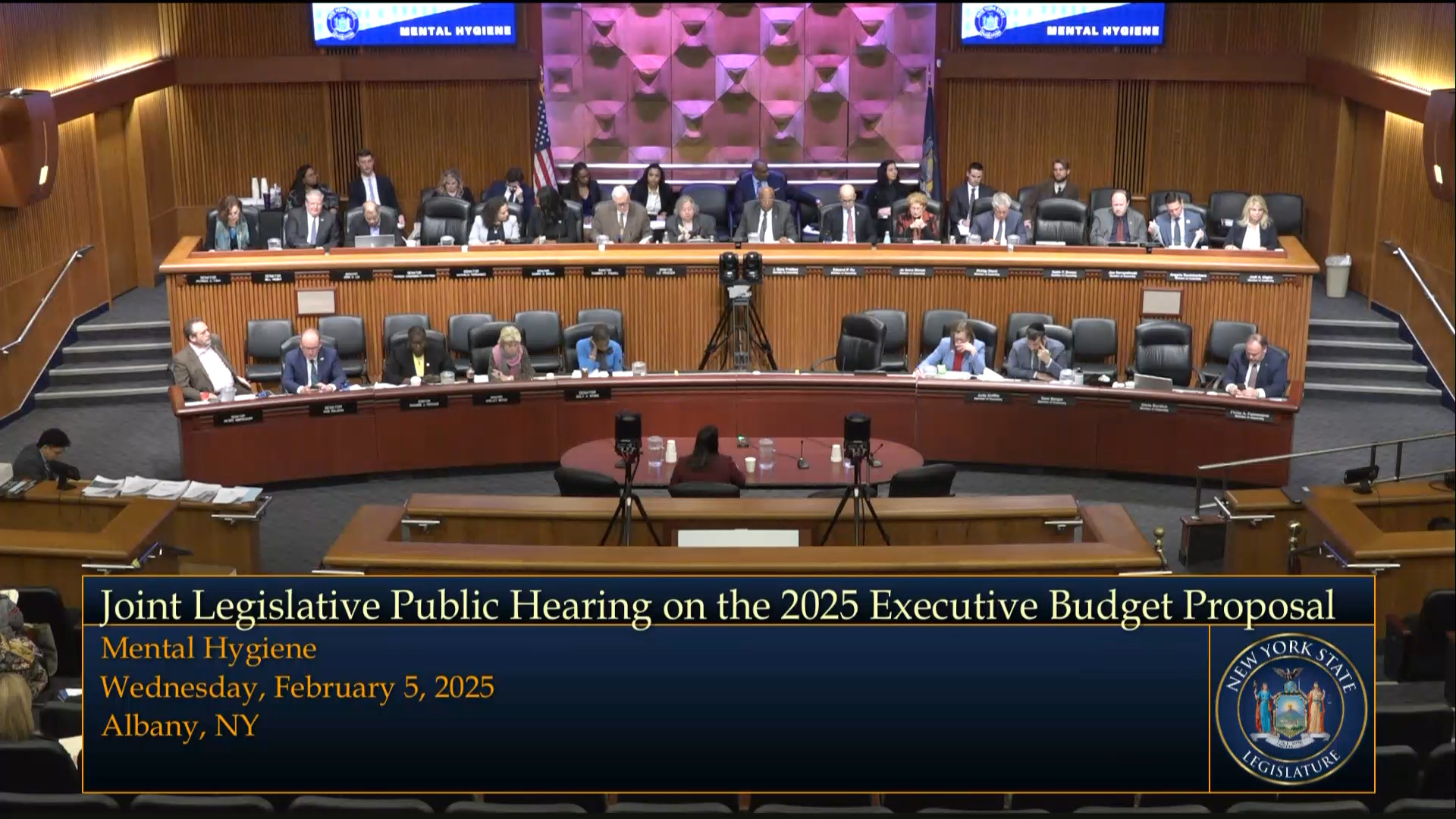 Justice Center for the Protection of People with Special Needs Director Testifies During Joint Budget Hearing on Mental Hygiene