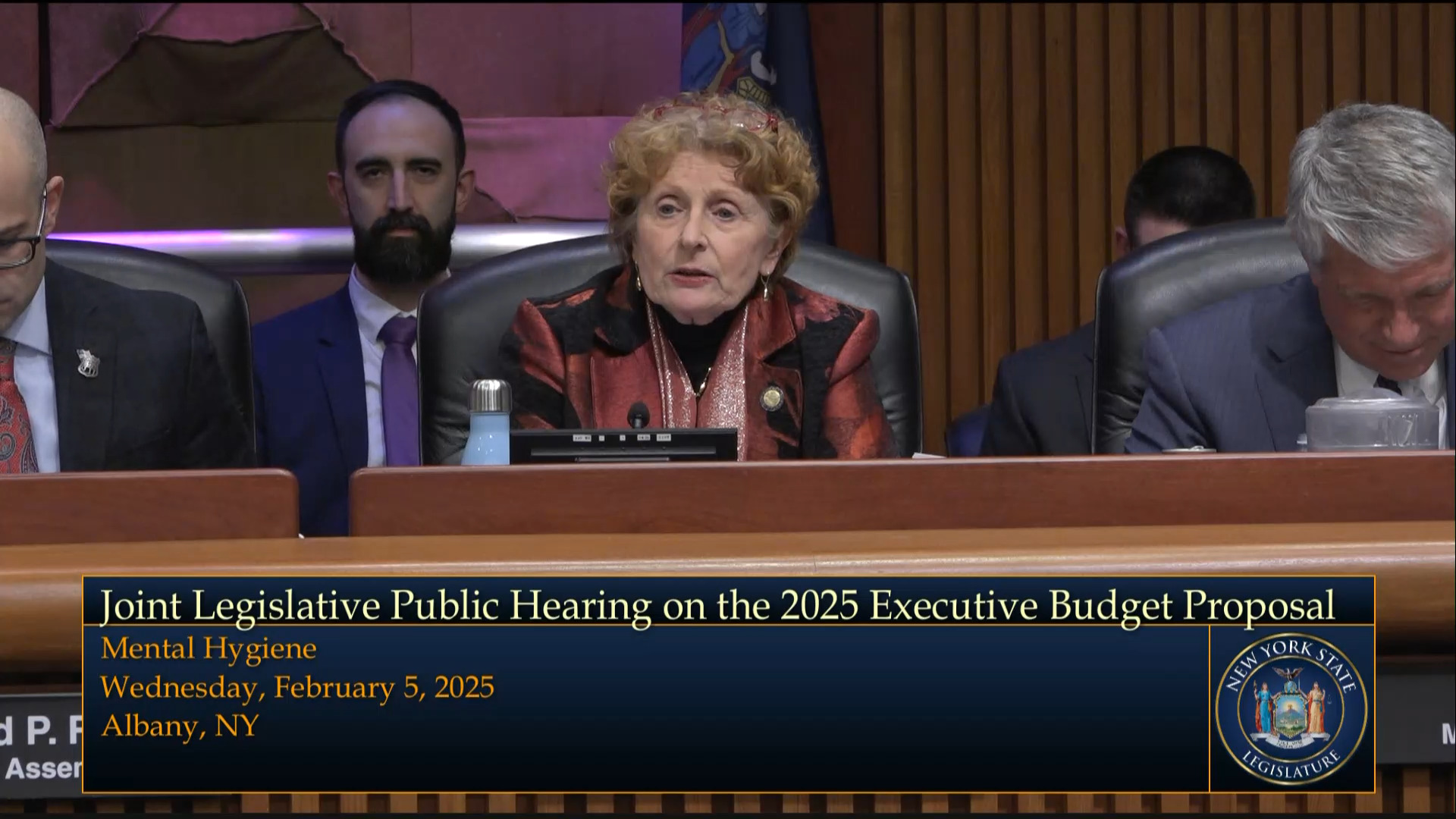 Advocates Testify During Joint Budget Hearing on Mental Hygiene