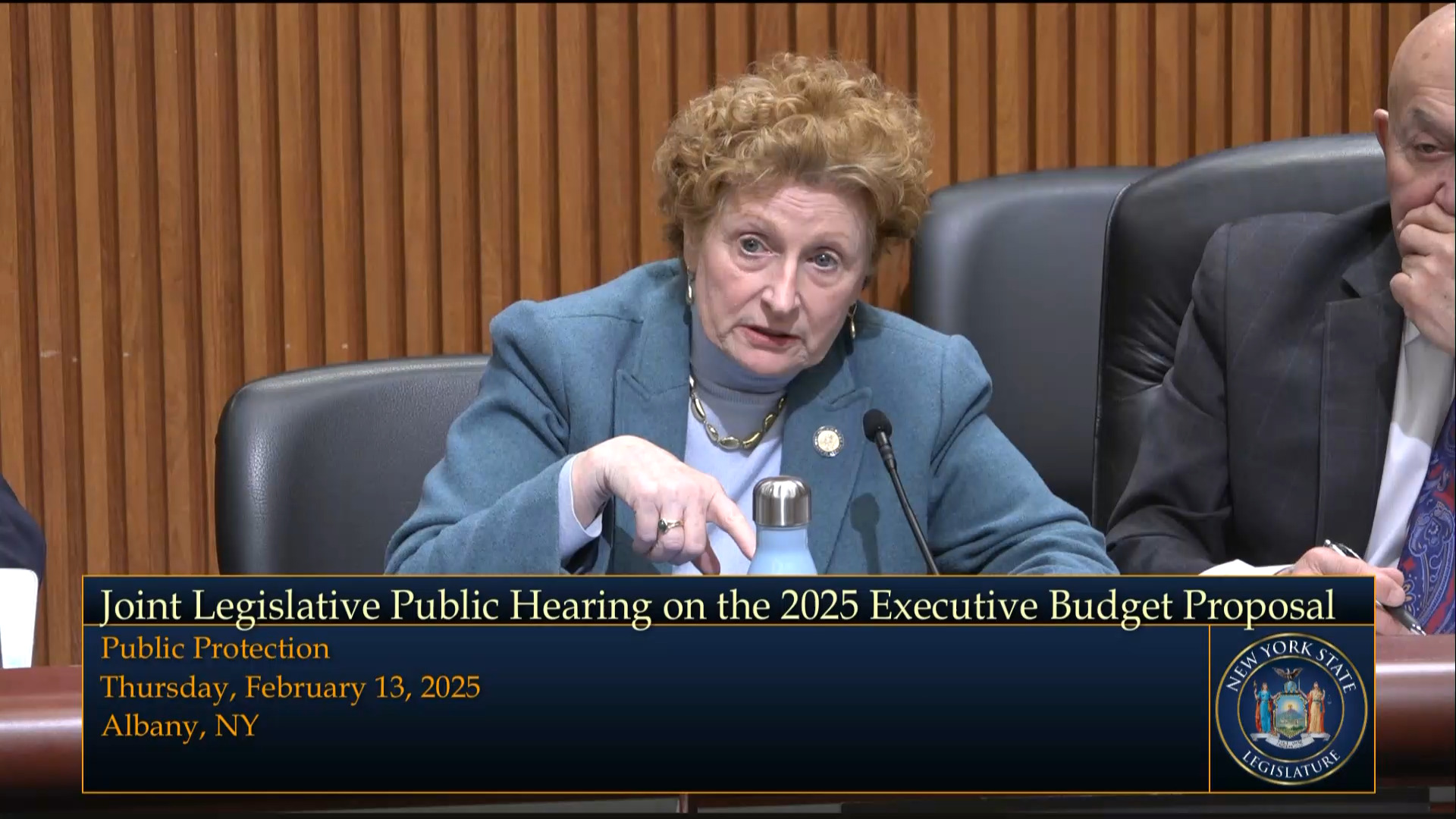 NYS Judicial Officials Testify During Joint Budget Hearing on Public Protection