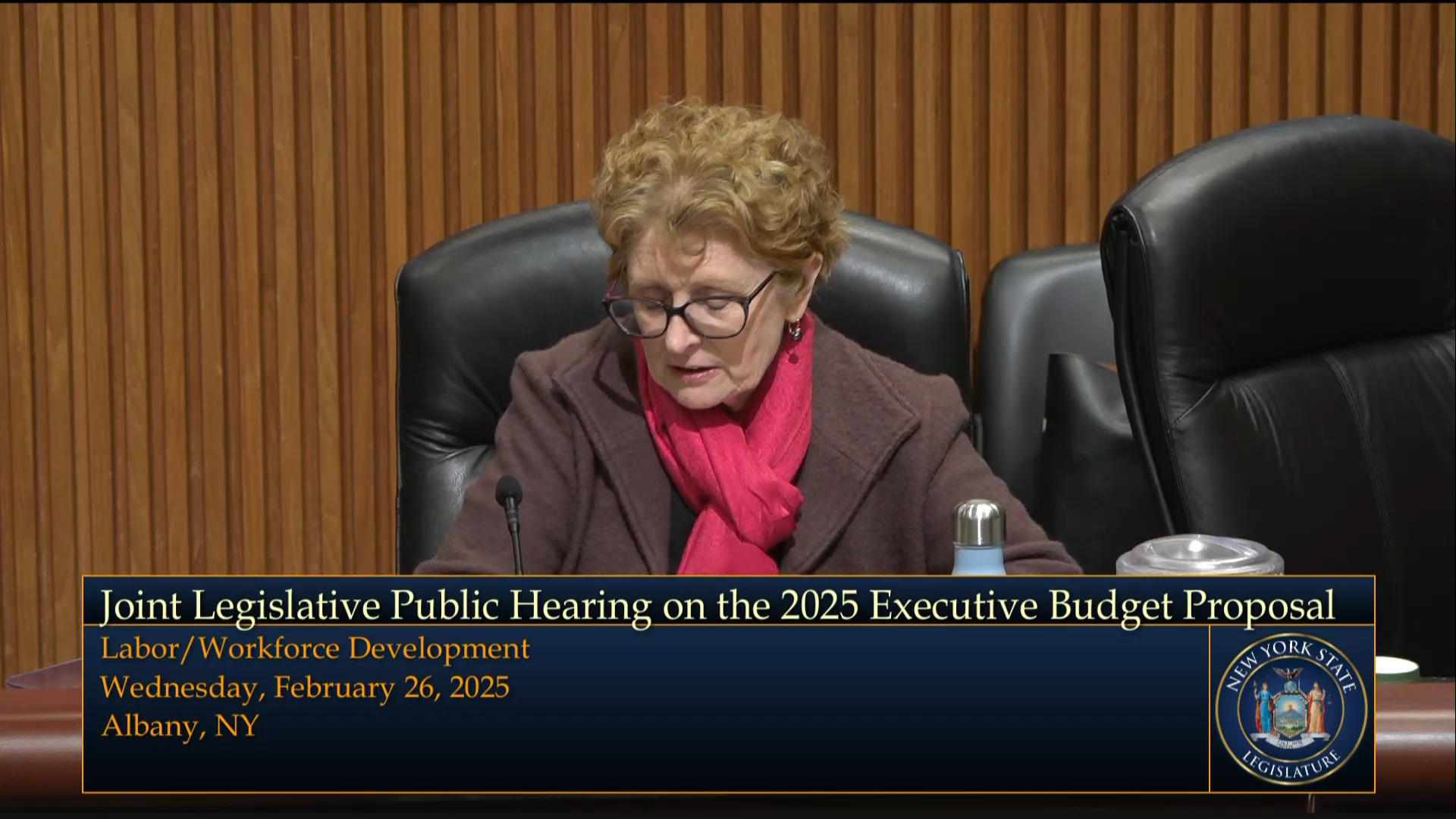 Labor Association Representatives Testify During Joint Budget Hearing on Labor and Workforce