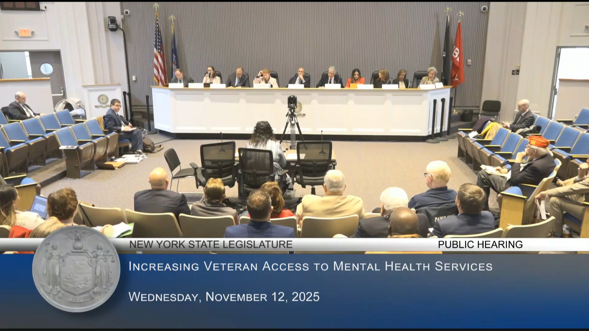 Simon Co-Chairs LI Public Hearing on Ways to Increase Veterans’ Access to Mental Health Services