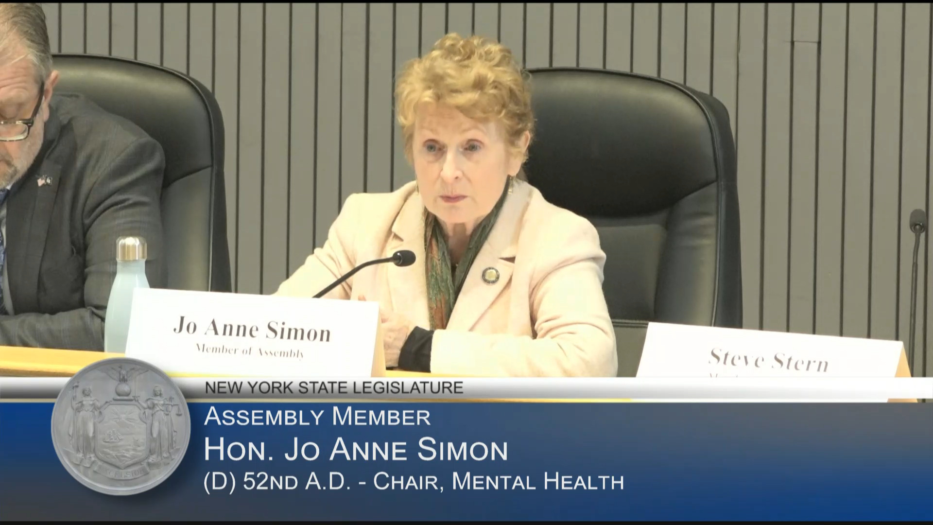 NYS Dept of Veterans’ Services Spokesperson Testifies at Public Hearing on Ways to Increase Veterans’ Access to Mental Health Services