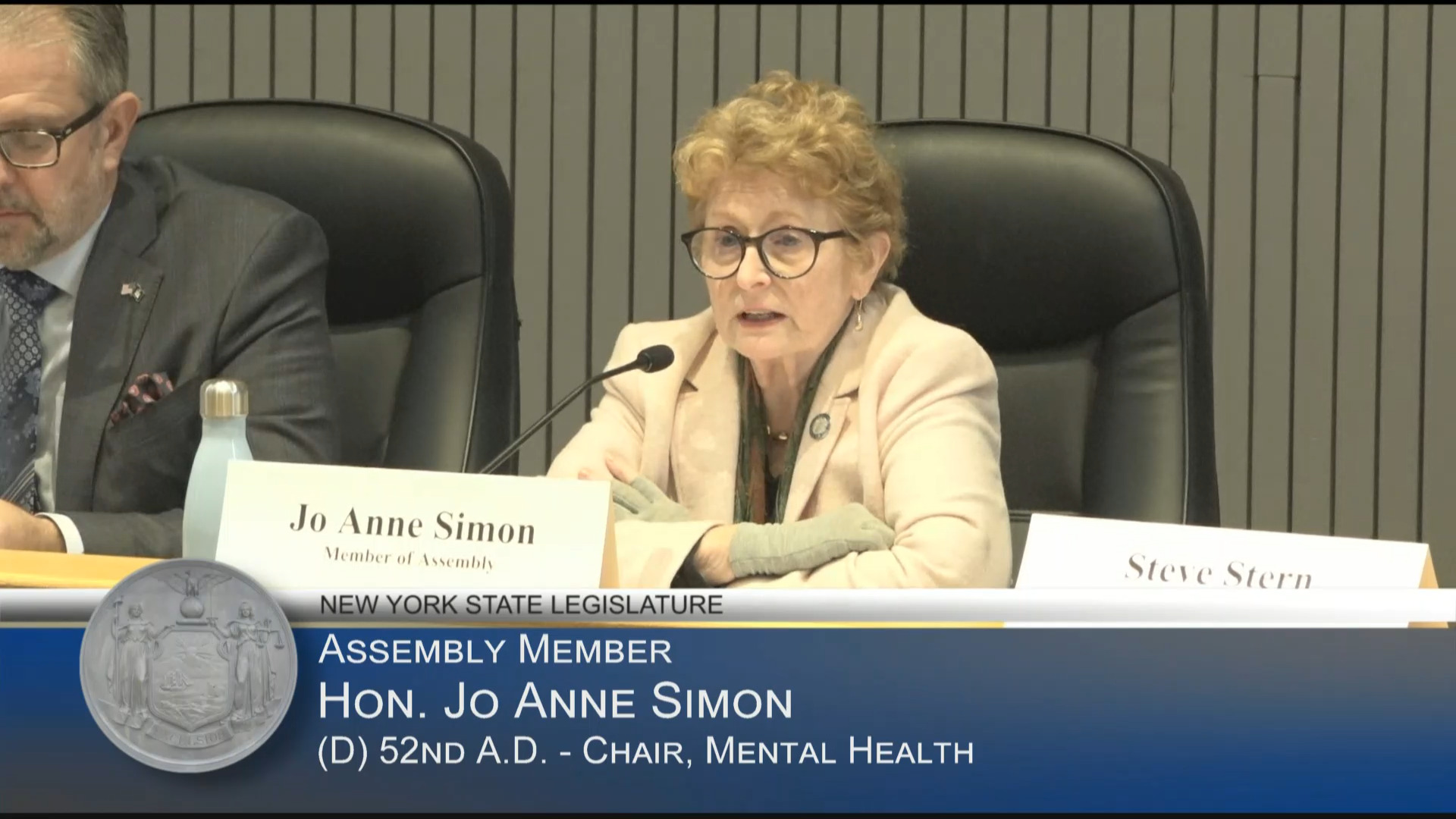 NYS Psychiatric Association Representative Testifies at Public Hearing on Ways to Increase Veterans’ Access to Mental Health Services