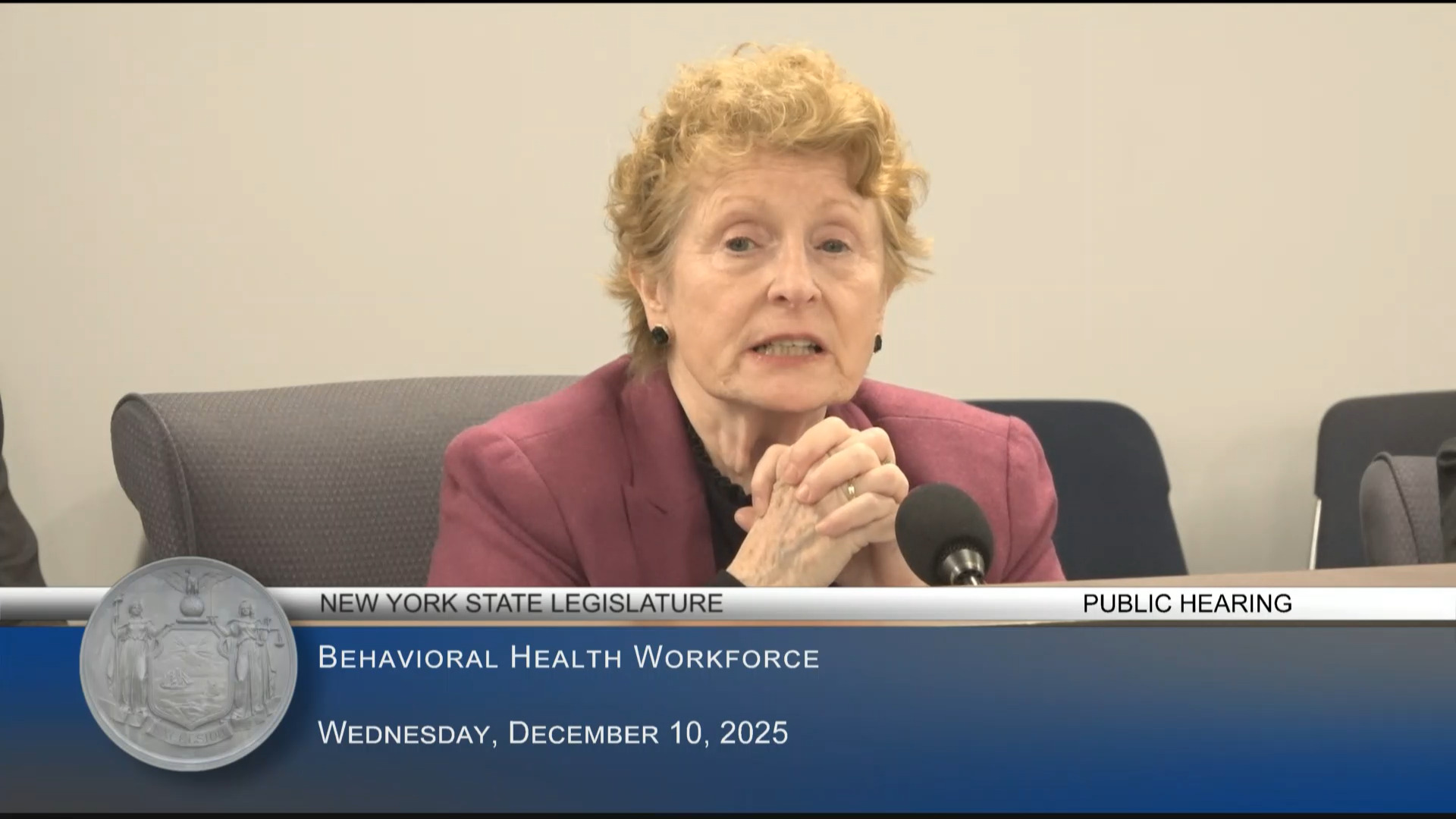 Simon Co-Chairs Public Hearing on the Status of the Behavioral Health Workforce