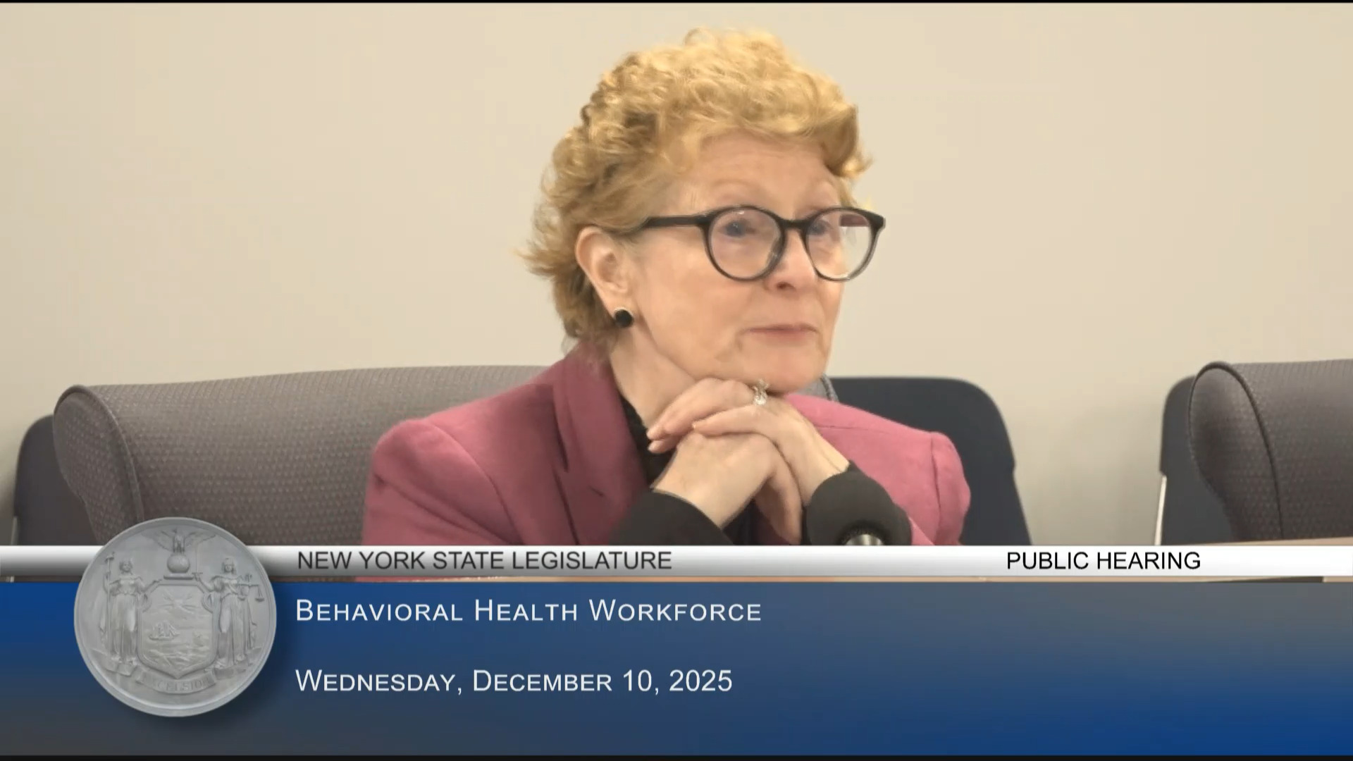 Assembly Holds Public Hearing on the Status of the Behavioral Health Workforce