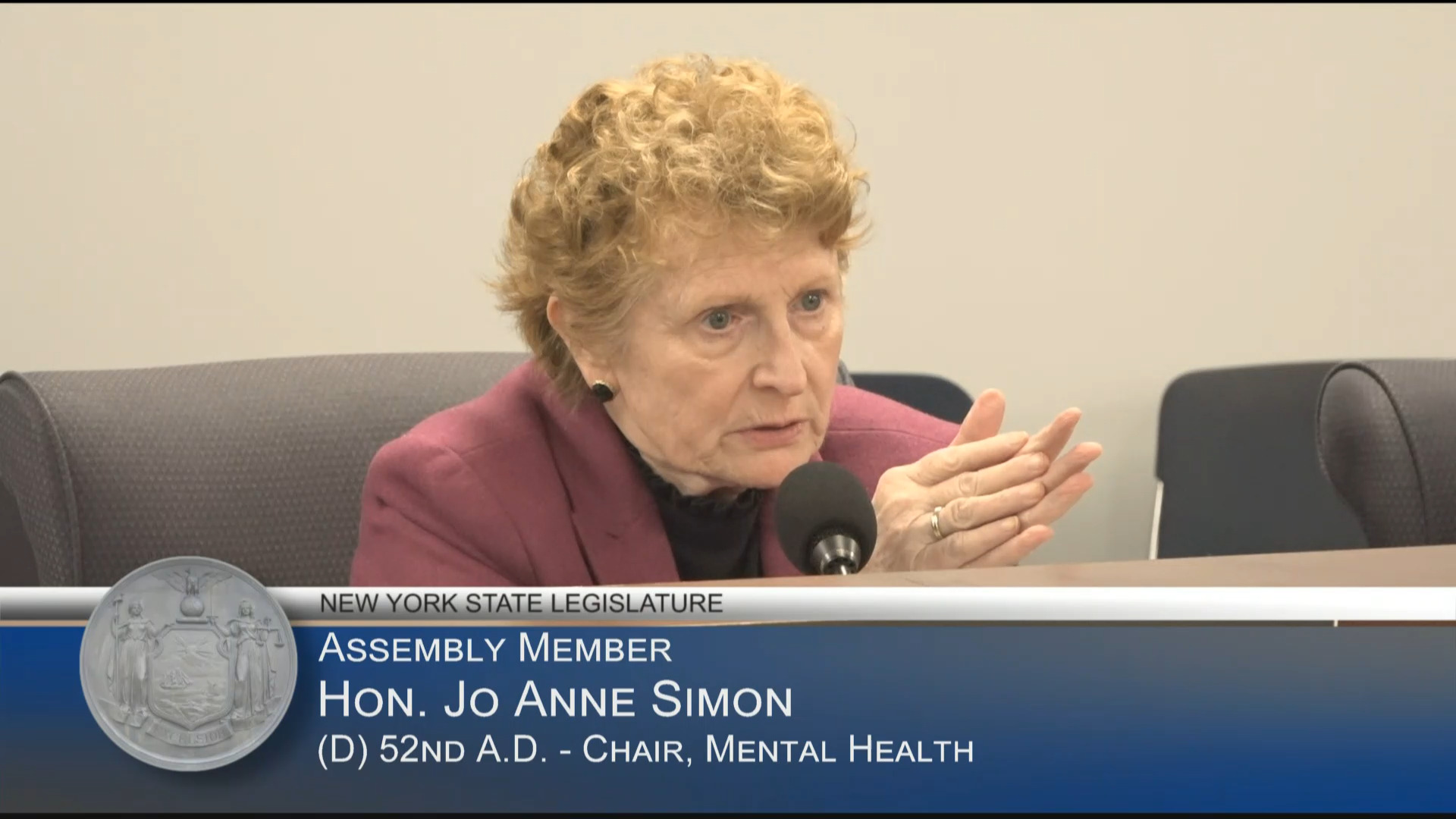 SAPIS Chapter Chairperson Testifies at Public Hearing on the Status of the Behavioral Health Workforce