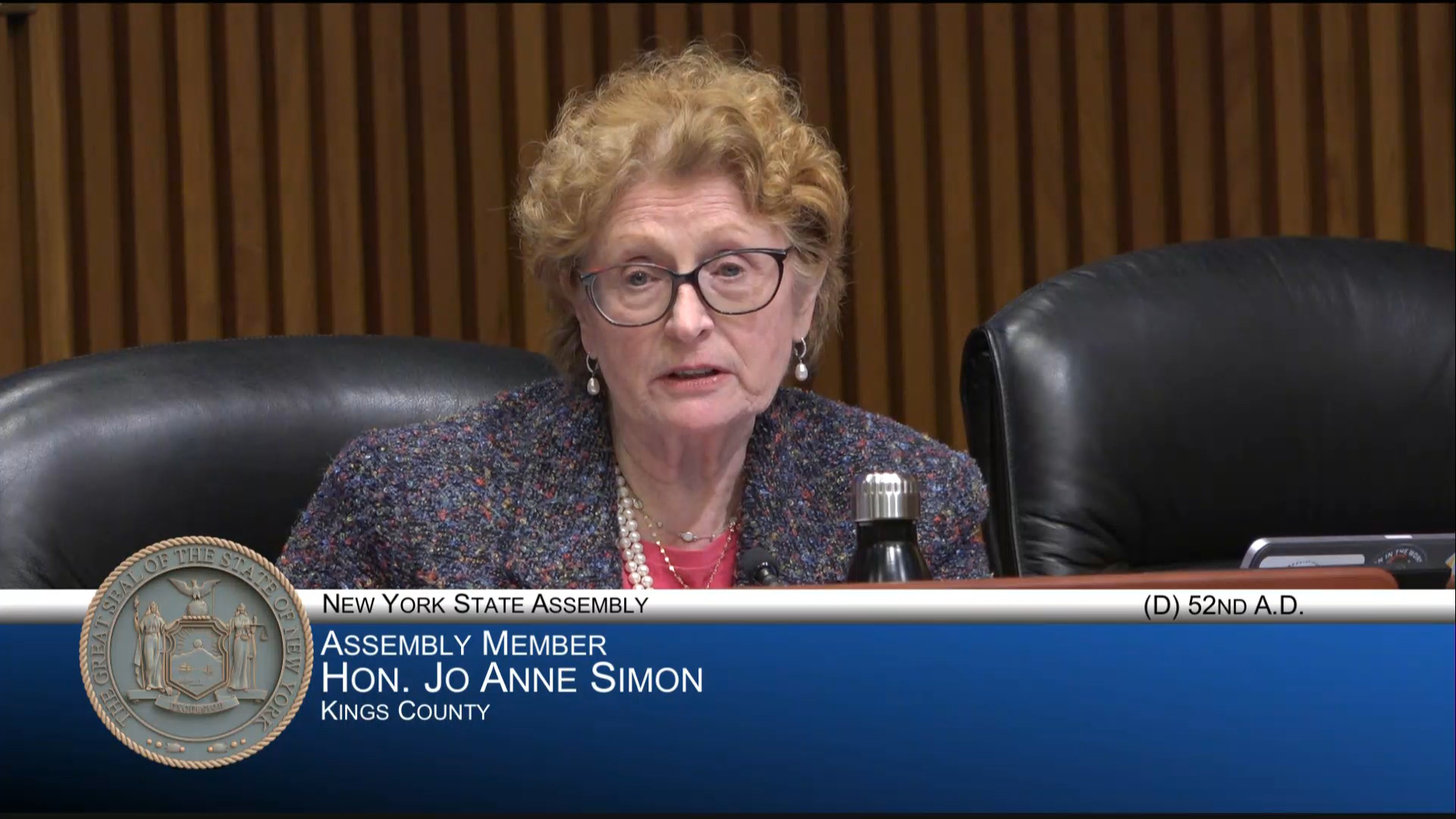 NYC E-Vehicle Safety Alliance Director Testifies During Hearing on Effects E-bikes and E-Scooters Have on Mobility, Traffic and Public Safety