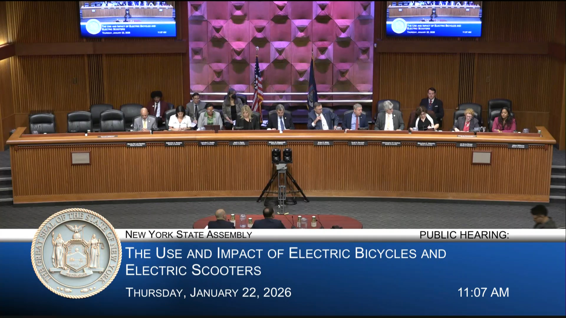 Delivery Worker Leader Testifies During Hearing on Effects E-bikes and E-Scooters Have on Mobility, Traffic and Public Safety