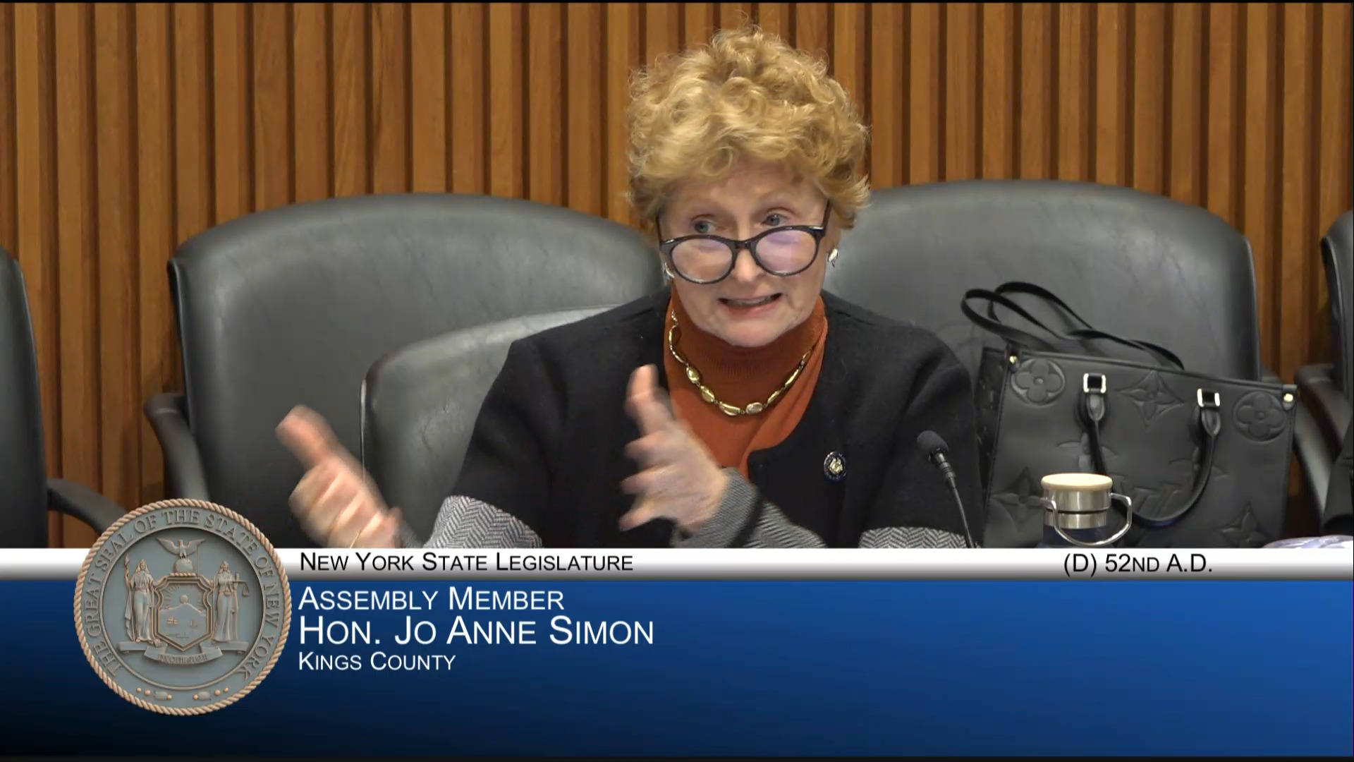 NYC Public Schools Chancellor Testifies During Budget Hearing on Elementary and Secondary Education