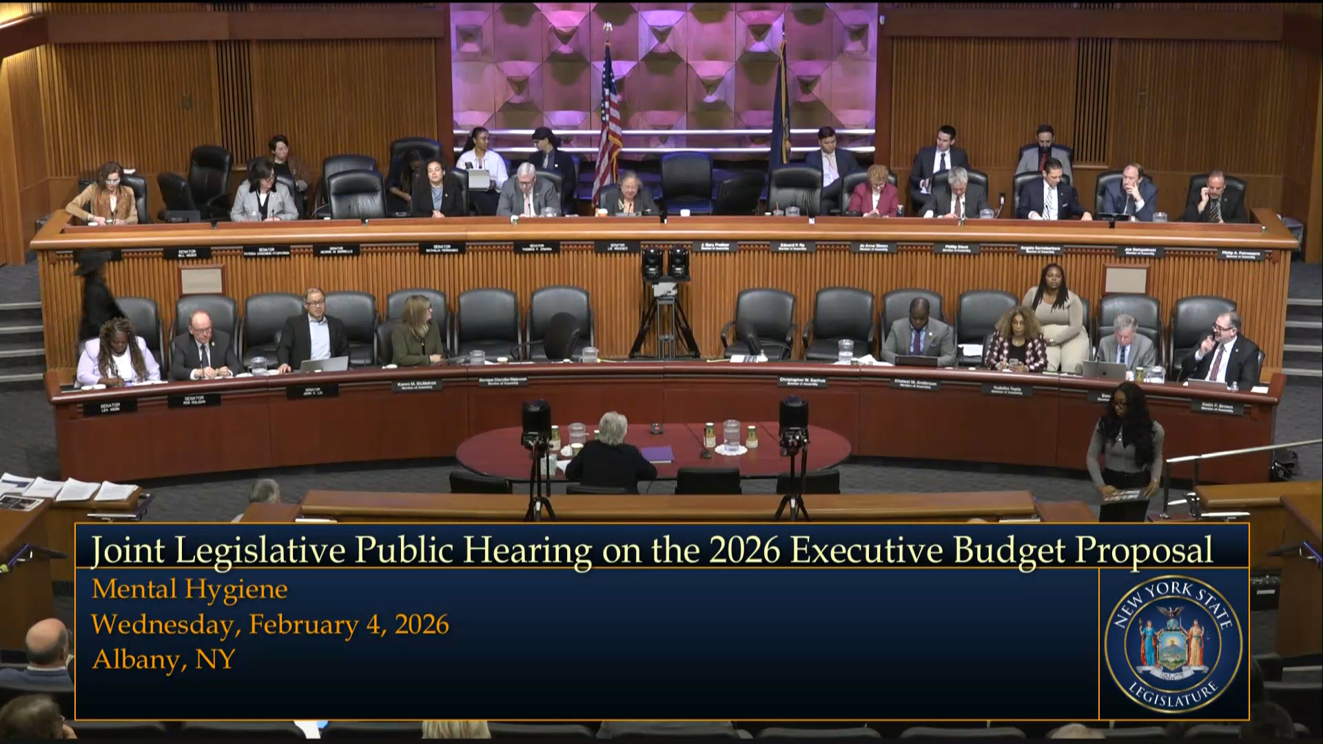 Simon Questions Mental Health Commissioner During a Joint Budget Hearing on Mental Hygiene