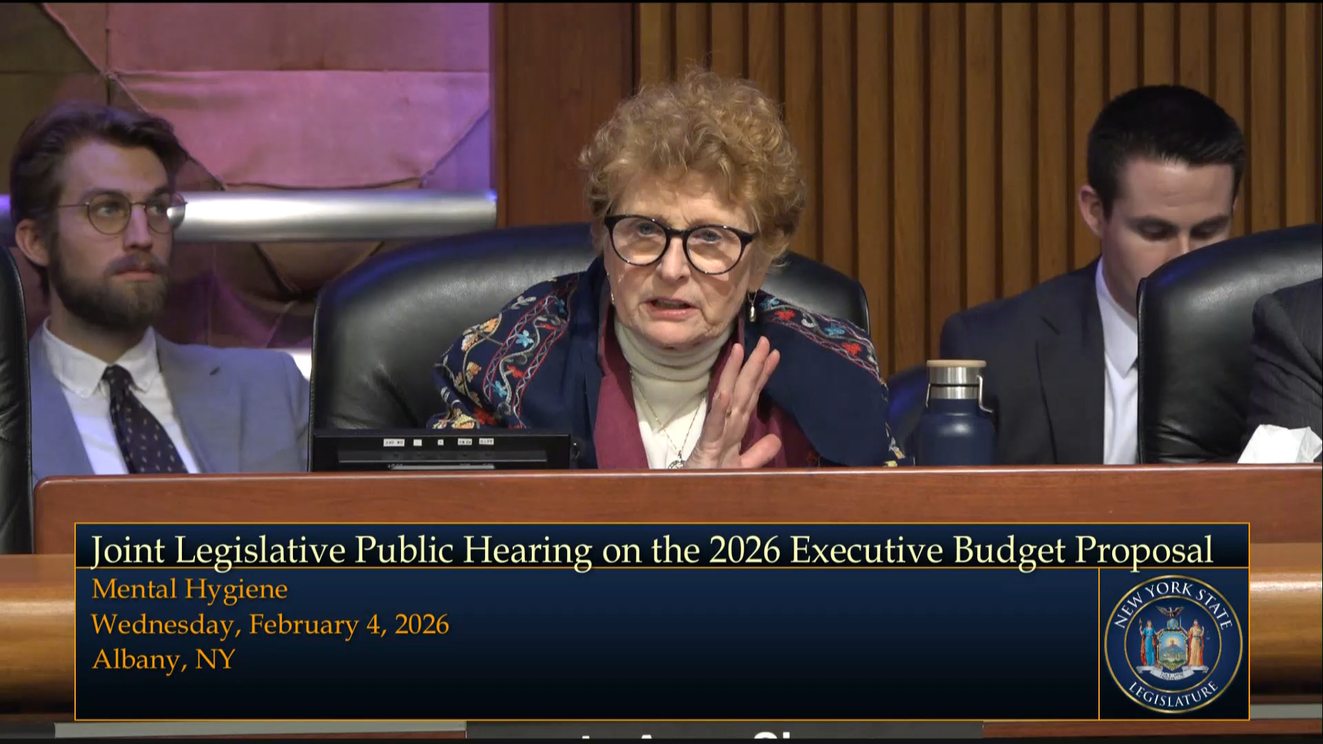 Simon Questions State Officials During a Joint Budget Hearing on Mental Hygiene