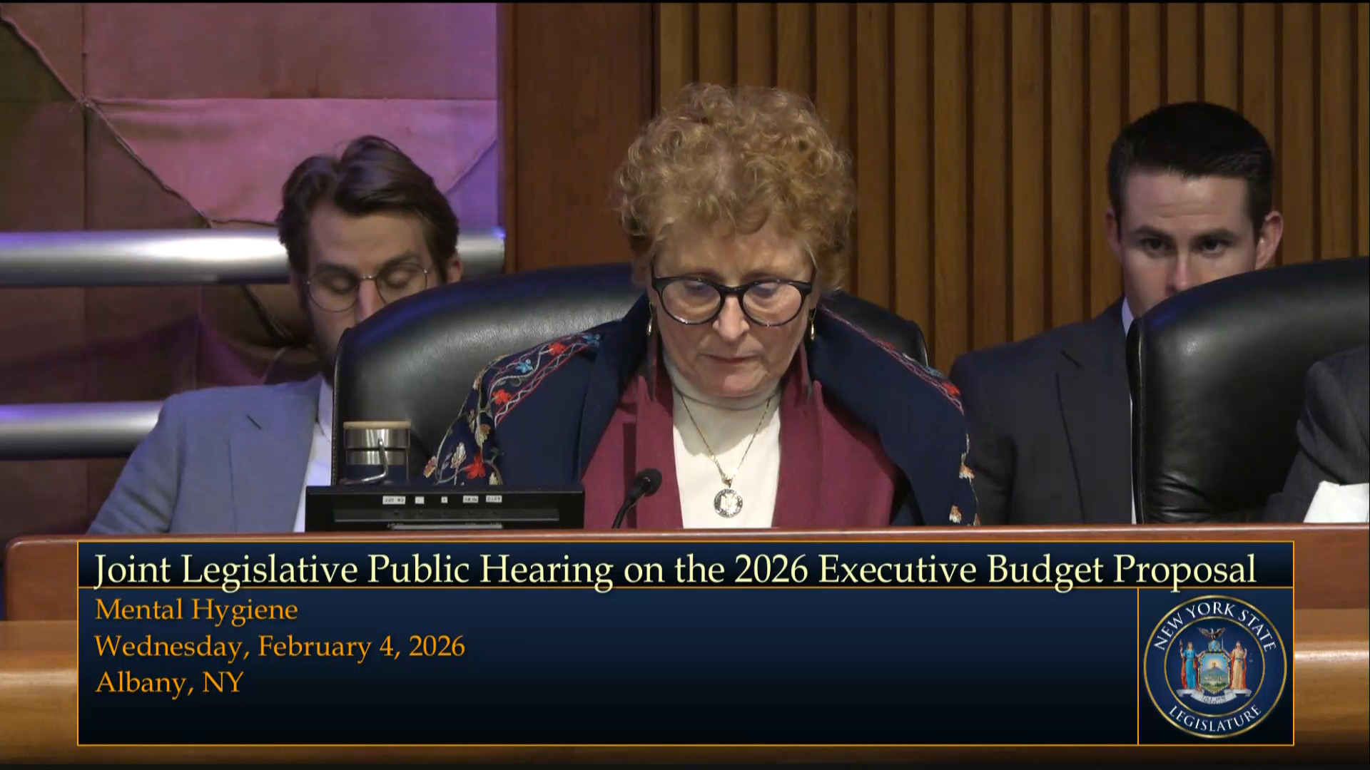 Protection of People with Special Needs Director Testifies During a Joint Budget Hearing on Mental Hygiene