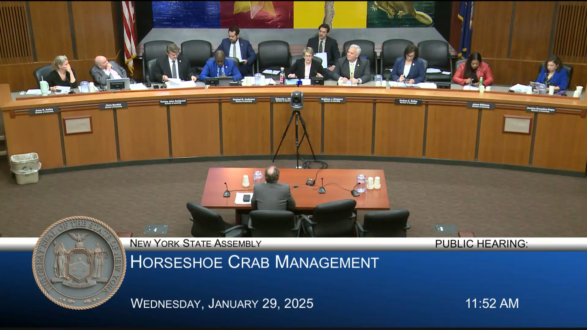 Advocates Testify During a Public Hearing on Horseshoe Crab Management in New York