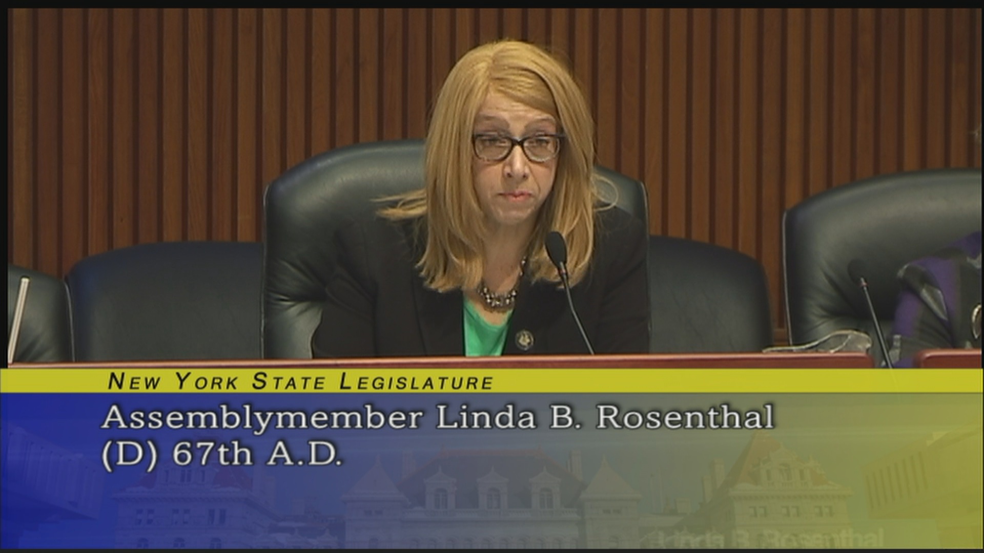 Assemblymember Rosenthal Addresses Issues Relating to Substance Abuse During the Joint Budget Hearing on Mental Hygiene