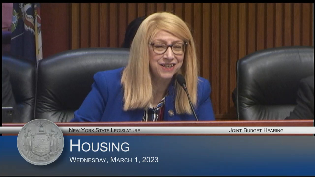 Housing Advocates Testify During Budget Hearing on Housing