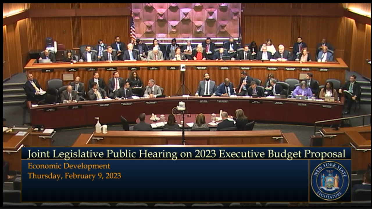 Commissioners Testify During a Budget Hearing on Economic Development and the Arts