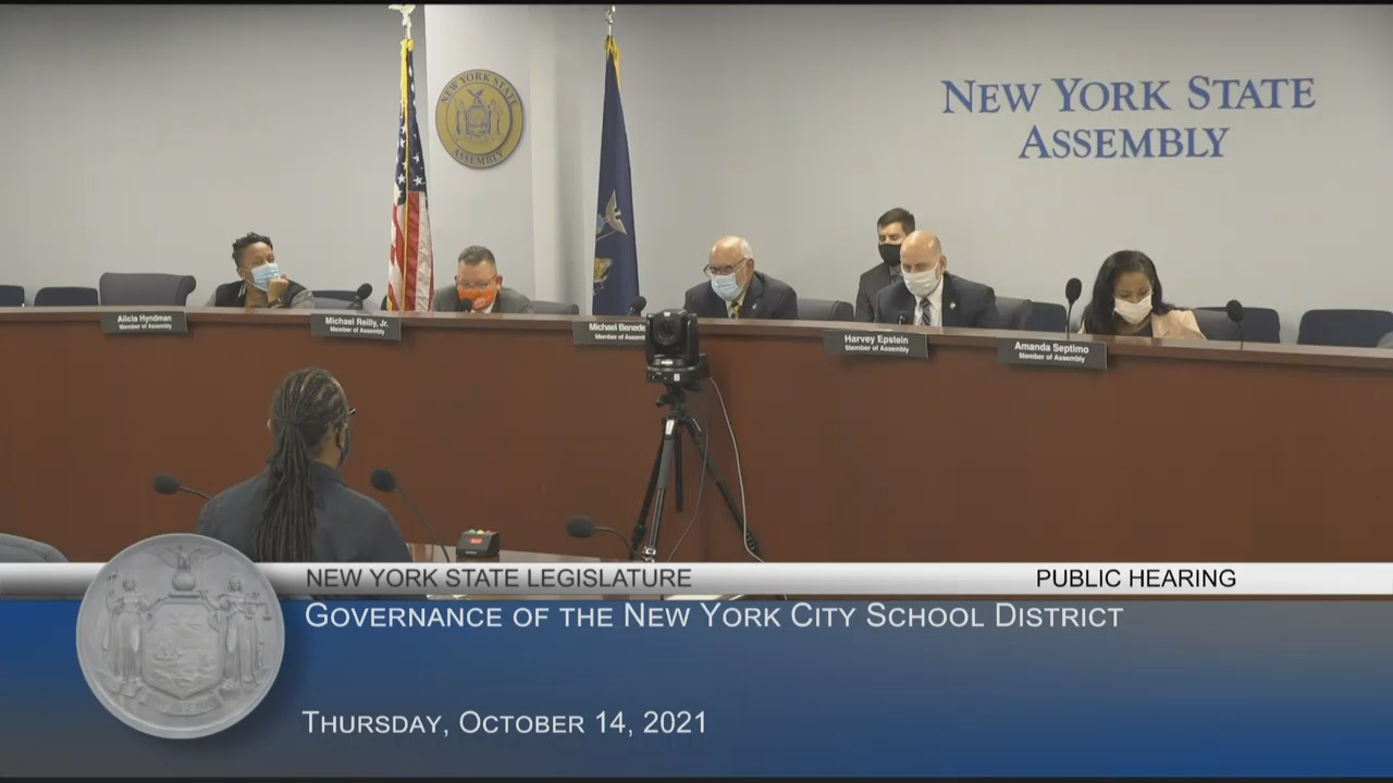 Epstein Questions CEC Representative at Hearing on Governance of the New York City School District