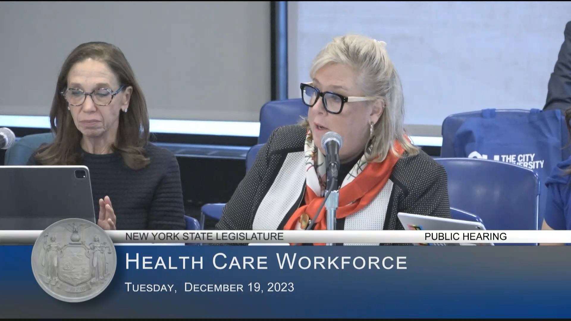 Seawright Co-Chairs Public Hearing on Status of the Health Care Workforce in New York State