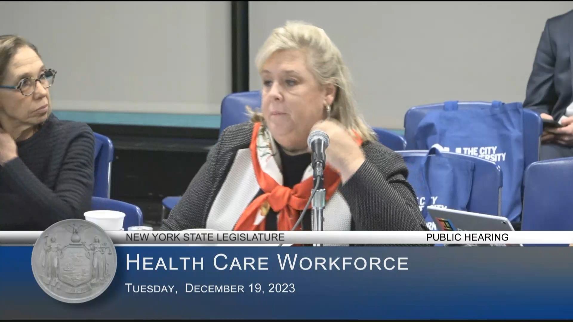 Parent Advocates Testify at Hearing on the Status of the Health Care Workforce in New York State