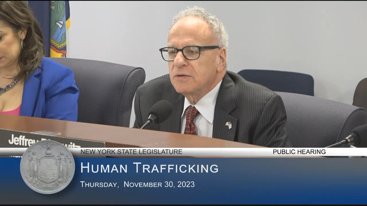 Women’s Justice NOW Director Testifies at Hearing on Services and Protections Available to Victims of Human Trafficking in NYS