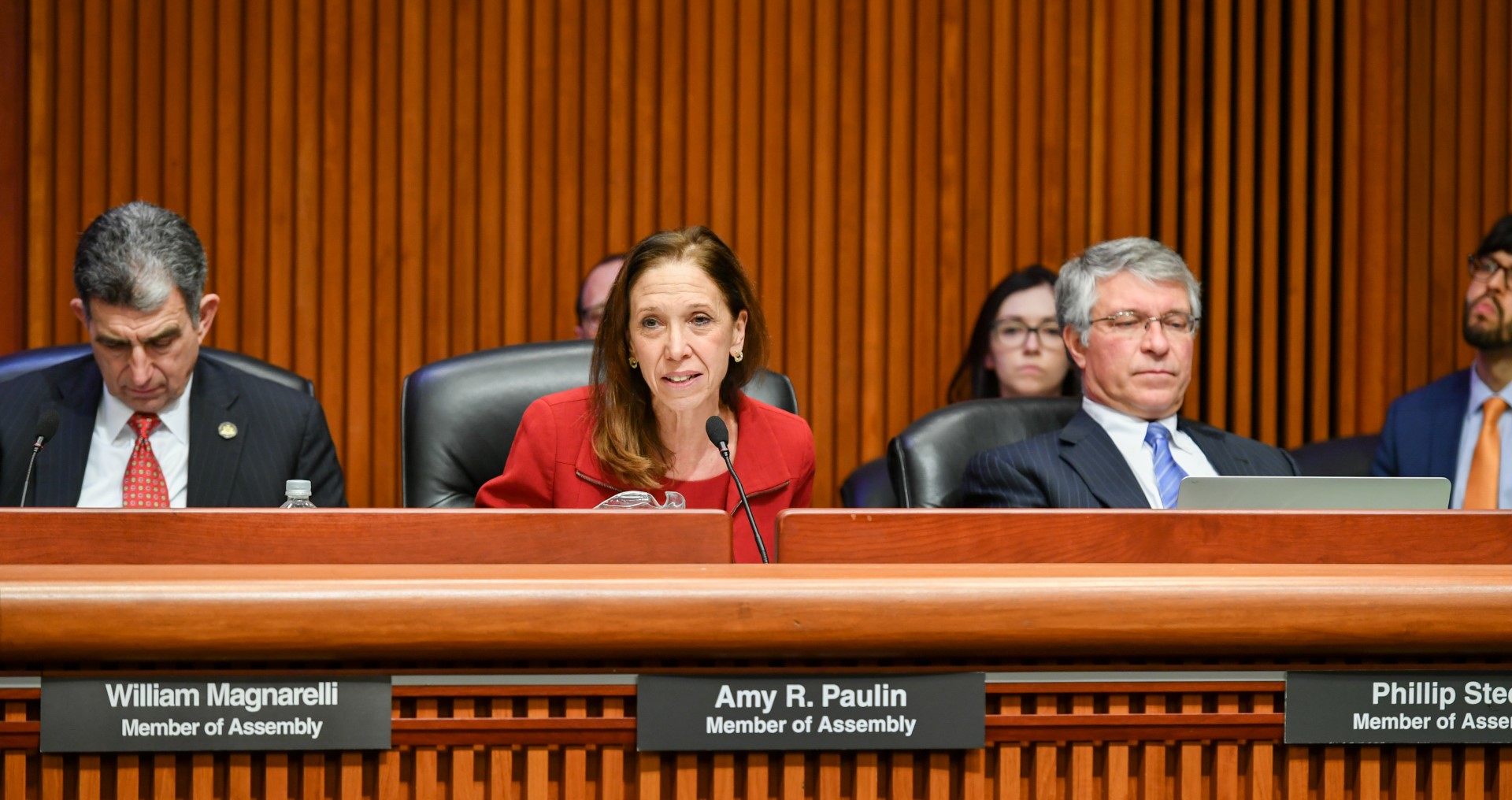 Chair Amy Paulin of the Assembly Committee on Corporations, Authorities and Commissions at an Assembly Budget Hearing on Transportation and the MTA.