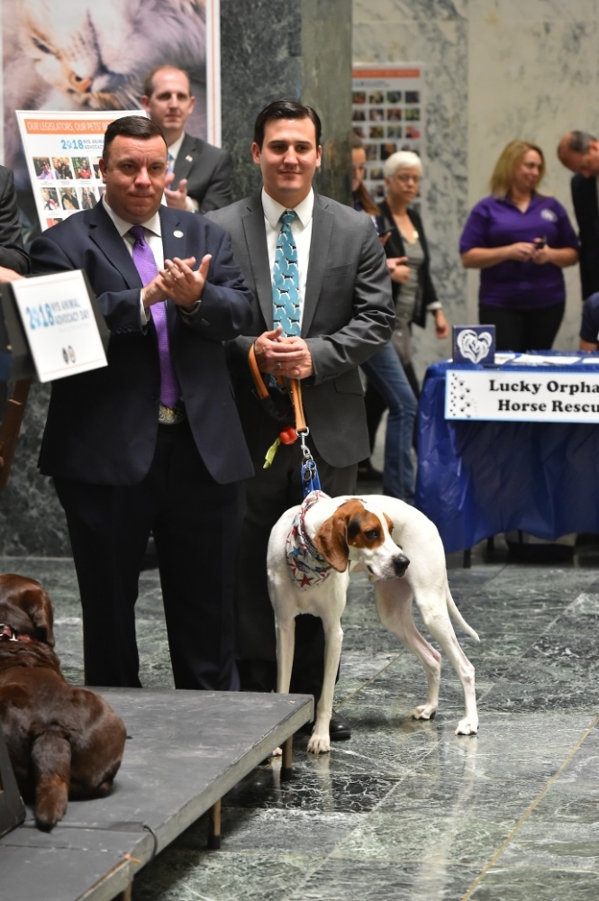 Assemblyman Karl Brabenec [left] pictured with Assemblyman Kevin Byrne at the NYS Legislature's Animal Advocacy Day